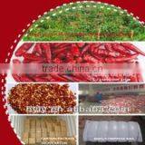 Small Chilli 2012 New thumbnail-1