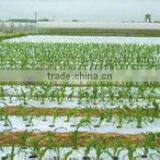Greenhouse Shrink Film/mulch Shrink Film thumbnail-1