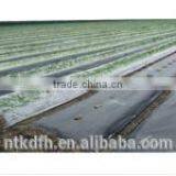 Agriculture Cover pp Spunbond Non Woven thumbnail-6