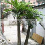 SJ2001115Outdoor Decorative Garden Plastic Trees Cocount Tree thumbnail-1