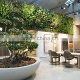 Home and Outdoor Decoration Synthetic Cheap Artificial Vertical Green Grass Wall E08 04R15 thumbnail-4