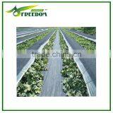 Agricultural Plastic Weed Control Mat / Ground Cover Net thumbnail-3