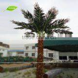 Date Palm Trees Artificial Tree 12ft High for Garden Landscaping Decking Coconut Tree