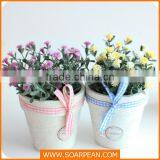 Lovely Custom Love Shape Potted Plants thumbnail-3