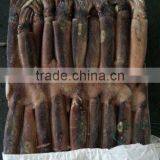 Fishing Product of Illex Squid thumbnail-2
