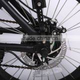 20inch Lithium Battery Fat Tire Electric Bike/bicycle Mini Folding Electric Bike thumbnail-6