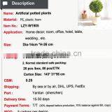 Wholesale Mini PE Plants Cheap Artificial Plants thumbnail-2