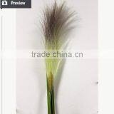 Hotsales Artificial Single Artificial Reed Grass for Home Decoration thumbnail-2