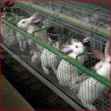 Commercial Metal Rabbit Cage With good quality