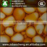 China Manufacturer Walling Dolomite Marble Stone Turkey Natural