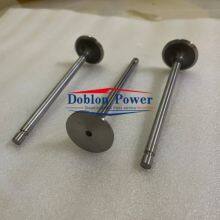 China Supplier IVECO FPT Engine Part Inlet Valve 4895052 for Iveco FPT and Cummins ISB/QSB 6.7, ISB 4.5, ISB thumbnail-1