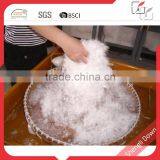 Popular Washed Goose Down Feather for Sale thumbnail-3