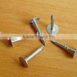 galvanized roofing nails with big flat head factory