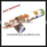 12pcs Natural Wooden Color Pencil In Cardboard Tube Stationery Set