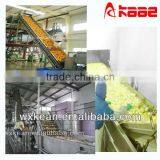 Hot Sale High Automatic Fruit and Vegetable Cleaning Line
