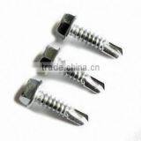 Hex Head Self Drilling Screw thumbnail-1
