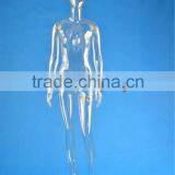 Full Body Transparent Mannequin thumbnail-2