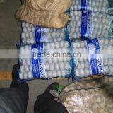 Brand New New Chinese Fresh Pure White Garlic With Great Price thumbnail-2