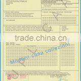 China Textile Fabric / Chinese Fabric / Sheet Fabric thumbnail-3