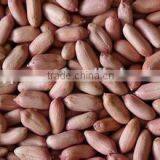 Good Quality Peanut Kernels 50/60 thumbnail-1