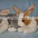 Plush Toys Grey,Brown Rabbit thumbnail-1