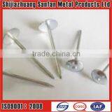 Flat Head Roofing Nails thumbnail-1