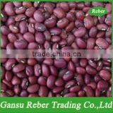 Red Cowpea thumbnail-1