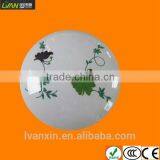 Surface Mounted 22cm Diameter Led Light Ceiling CE ROHS CCC Approved