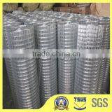 Iron Wire Mesh thumbnail-6