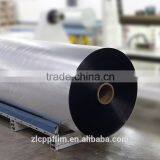 Vacuum Metalized CPP Film