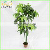 Cheap Artificial Fortune Pant Trees Plastic Trunk Indoor