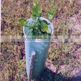 Corflute,Coroplast Tree Protector thumbnail-5