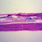 Exported Indonesia Prepared Slide Set for Middle School thumbnail-5