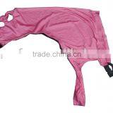 Horse Hood thumbnail-1