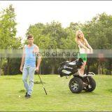 Vehicle With Remote Controller Electric Golf Trolley