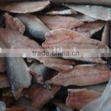 Frozen Pacific Mackerel Fillet IQF