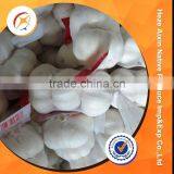 China Suppliers Fresh Garlic thumbnail-6