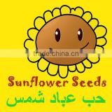 New Crop sunflower seeds TOP quality