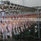 008618052092685 Poultry Chicken Slaughterhouse Equipment|High Quality Chicken Duck Broiler Slauhgtering Production Line thumbnail-6