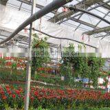 Large Tunnel Galvanized Agricultural Greenhouse for Green Vegetables thumbnail-5