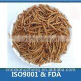 Freeze Dried Tenebrio Molitors for Cats thumbnail-1