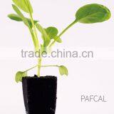 30 Led Grow Light Indoor Growing With Hydroponics thumbnail-4