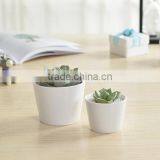 Indoor Mini Ceramic Decor White Plant Pot thumbnail-2