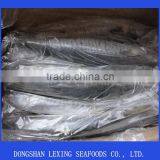 Spanish Mackerel thumbnail-2