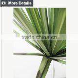 Made in China Factory Direct Bonsai Tree High Quality Home Decorative Plant Artificial Tree thumbnail-3