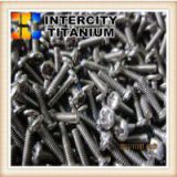 china GR2 titanium fasteners