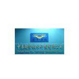 Shijiazhuang Zhongtai Pipe Technology Development Co.,Ltd company overview - view 1 thumbnail