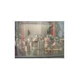 Forged Pipe Fittings