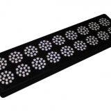 CILDY Led High Power High Lumen 650w Led Grow Light 18 for Hydroponic Grow Room Tent,agricultural Greenhouses Used thumbnail-4