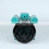 YL802-4 0.75kw 220V Single Phase 1hp Motor 1400 Rpm 950rpm thumbnail-2